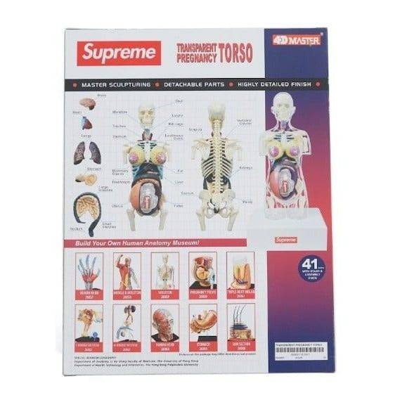 Supreme Female Anatomy Model Clear - Court Side Gear & More