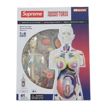 Supreme Female Anatomy Model Clear Front