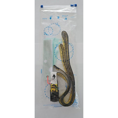 Off White Industrial Belt-Yellow - One Size - Court Side Gear & More