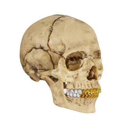 Supreme 4D Master Exploded Skull - Court Side Gear & More