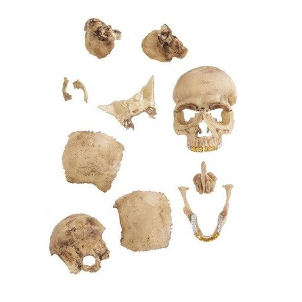 Supreme 4D Master Exploded Skull - Court Side Gear & More